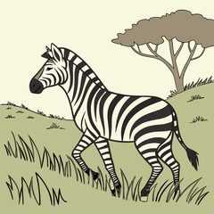Obraz premium zebra in the grass