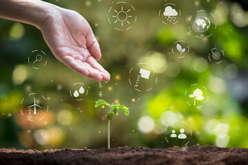 Farmer's hand watering young seedling on fertile soil. Hand nurturing a young plant with digital eco-friendly icons. Concept of sustainable growth, environmental protection, and green technology.