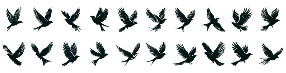 Fototapeta premium Flying Dove Silhouette - Peace Symbol, Birds in Flight Against White Background 