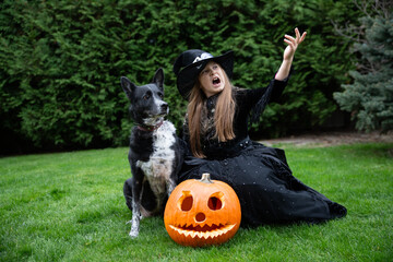 Little charming sorceress sorceress in black dress with dog and carved pumpkin on green grass background with broom for halloween