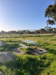 Bench in grass field with natural sunlight 