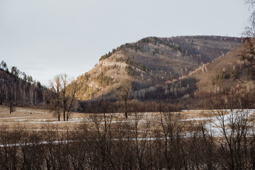 In the background, there is a majestic mountain soaring high, while in the foreground, a serene...