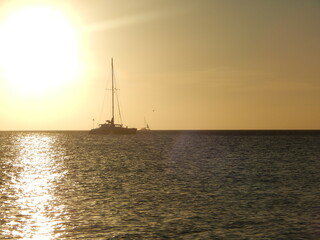 Fototapeta premium sunset in the sea