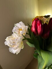 Elegant bouquet of red tulips and white roses in a vase, softly lit against a neutral background....