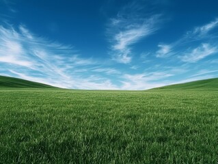Fototapeta premium Tranquil Green Meadow Serene Grassy Hill under Clear Blue Sky - Natural Landscape of Peaceful Freedom and Freshness Peaceful Nature for Wall Art, Landscapes, Environment Concept