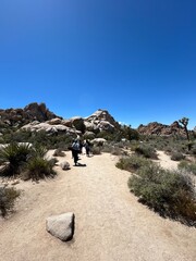 trail in the desert mountains