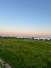 grass meadow during sunset