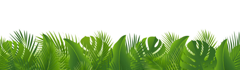 Green Tropical Leaves Border Isolated