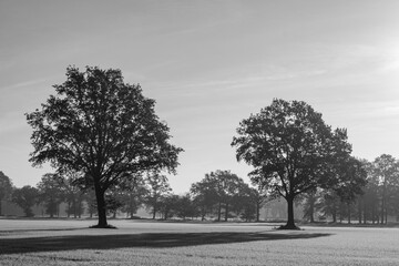 Naklejka premium Herbstzeit in Bocholt