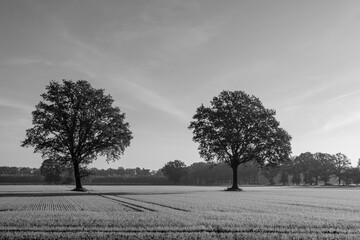 Herbstzeit in Bocholt