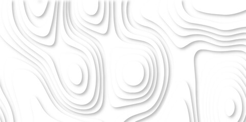 Fototapeta premium White paper cut decoration textured.