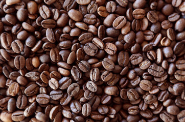 Obraz premium Roasted coffee beans
