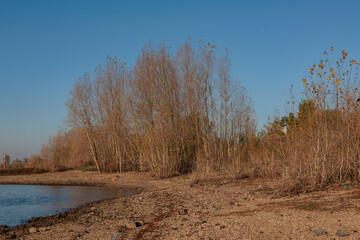 Herbststimmung am Rhein