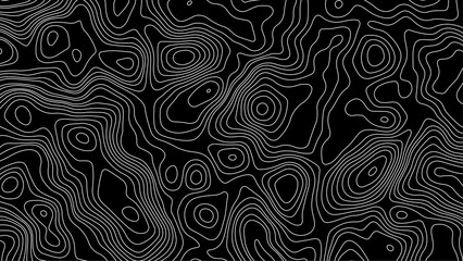 Fototapeta premium Topographic map background geographic line map