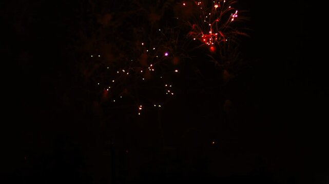 Gold pink blue green sparks scattering fireworks on black night sky. General plan
