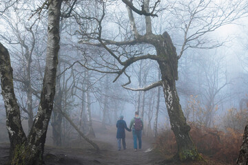 Fototapeta premium walking in the woods with fog