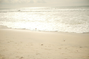Dreamy Day at Carlsbad Beach