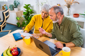 Senior couple doing the household accounting with laptop