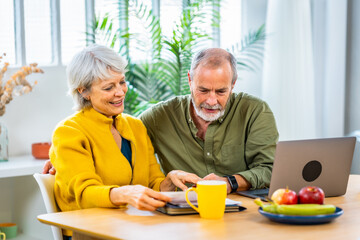Relaxed senior couple doing paperwork and household accountability together