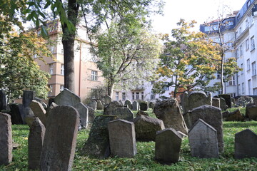 Naklejka premium jewish cemetery of praga, praha, prague, czech republic