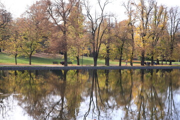 Obraz premium autumn trees reflected in water