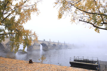 charles bridge at morning with fog, prague, praga, czech republic