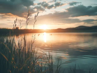 Tableau sur aluminium Paysages Lake sunset with grass  © Alexandr