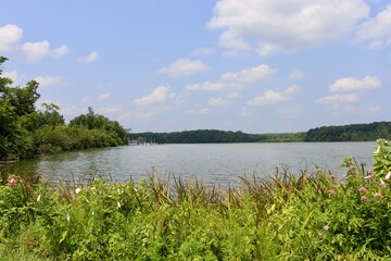 The quiet countryside lake on a sunny day.