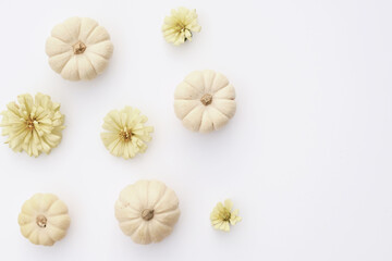 Natural organic style white pumpkins and flowers from top view as a fall season minimal modern flat lay with copy space for Thanksgiving holiday.