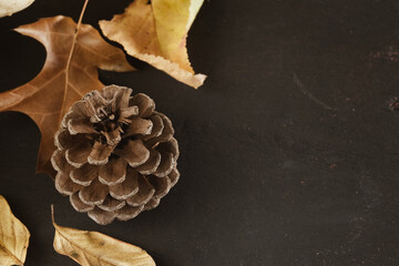 Rustic fall season background with copy space by leaves and pine cone for Thanksgiving holiday.