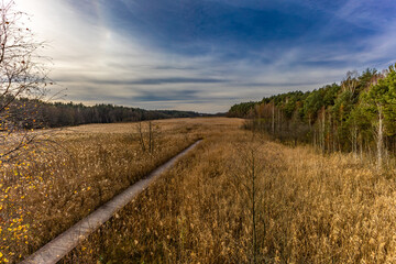 Naklejka premium A walk along the path around the lake in Blachownia in autumn