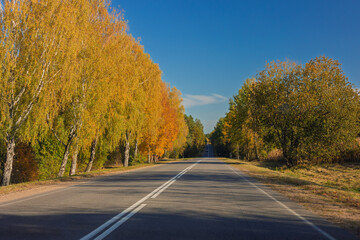 Autumn landscape, road and highway, asphalt and roadside.