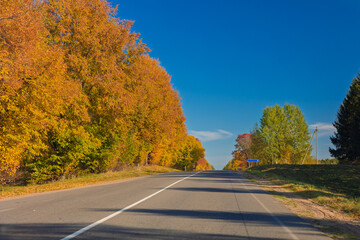 Fototapeta premium Autumn landscape, road and highway, asphalt and roadside.