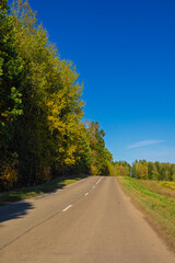 Fototapeta premium Autumn landscape, road and highway, asphalt and roadside.