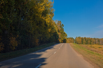 Fototapeta premium Autumn landscape and sunny evening, orange road and highway, asphalt and roadside.