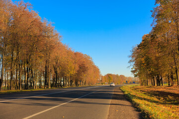 Autumn landscape and sunny evening, orange road and highway, asphalt and roadside.