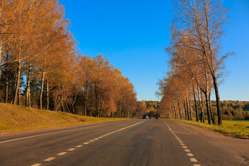 Fototapeta premium Autumn landscape and sunny evening, orange road and highway, asphalt and roadside.