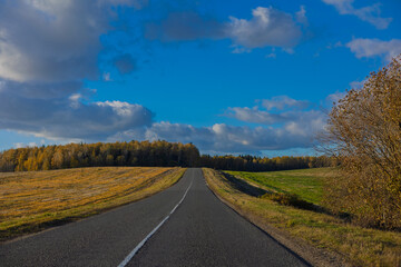 Fototapeta premium Autumn landscape, road and highway, asphalt and roadside.