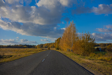 Fototapeta premium Autumn landscape, road and highway, asphalt and roadside.