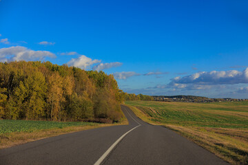 Fototapeta premium Autumn landscape, road and highway, asphalt and roadside.