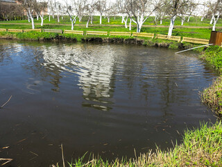 picturesque summer pond on the territory of the Kremlin in Rostov the Great