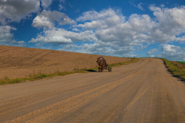 Autumn landscape, road and highway, asphalt and roadside.