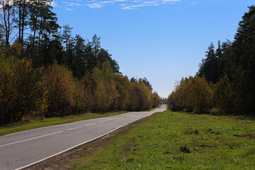 Fototapeta premium Autumn landscape, road and highway, asphalt and roadside.