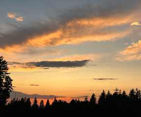 Obraz premium golden sunset with forest trees