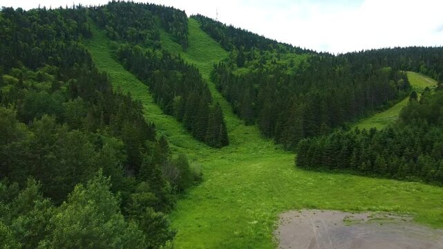 Smooth drone flight heading toward the vibrant green mountain of Val d&rsquo;Ir&egrave;ne with distinct ski run clearings visible across the hillside in Sainte-Ir&egrave;ne, Matapedia Valley, Quebec, Canada.