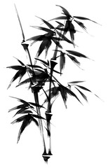 Obraz premium PNG Bamboo tree bamboo brush black.