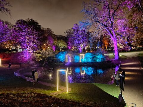 Nighttime park scene with vibrant, colorful lights illuminating trees and pathways, creating a magical, tranquil ambiance by the pond, reflecting the lights in water. A serene, enchanting evening