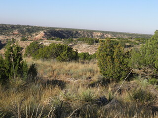 Prairie view