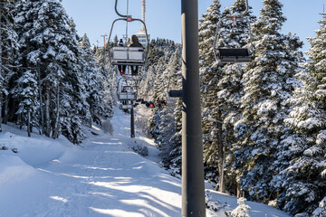 In Uludağ, people riding chairlift (teleski) on and ski among the pine trees. Uludağ is the most...