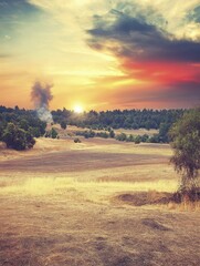 Obraz premium Golden Hour Landscape: Sunset Over a Grassy Field and Forest
